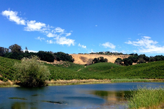 This body of water is key to the life of the vineyards at Truchard.